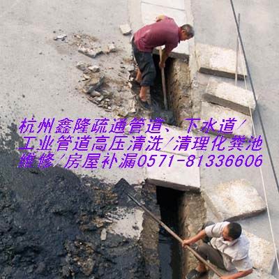 供应杭州上城区环卫所抽粪81336606